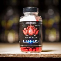 Жиросжигатель Lotus от Regeneration Pharm