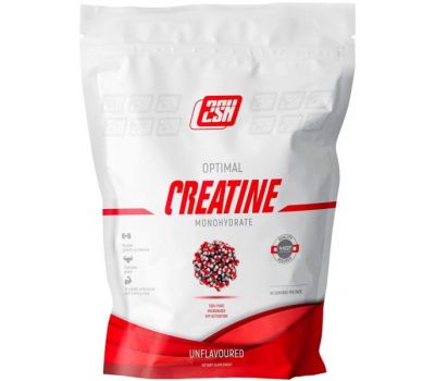 2SN Creatine Monohydrate 500g в SpartaFood