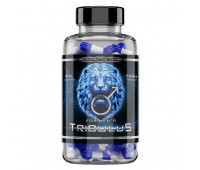 Reg Pharm Tribulus 750 mg (120 кап)