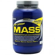 MHP Up Your Mass (908g)