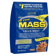 MHP Up Your Mass (4540g)