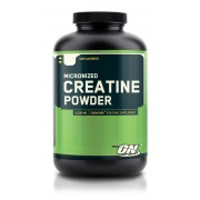 ON Micronize Creatine Powder 300g