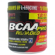 SAN BCAA-PRO Realoded (456g)